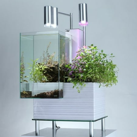 brio aquaponics 9.5 gallon aquaponics system aquarium kit