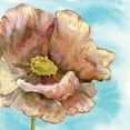 thumbnail image 2 of Ferry, Margaret 20x20 White Modern Wood Framed Museum Art Print Titled - Fresh Poppies I, 2 of 4
