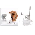 thumbnail image 4 of Estante de soporte de exhibición de acrílico duradero Hugo para minerales rocas de cristal de concha coleccionables S multi, 4 of 10