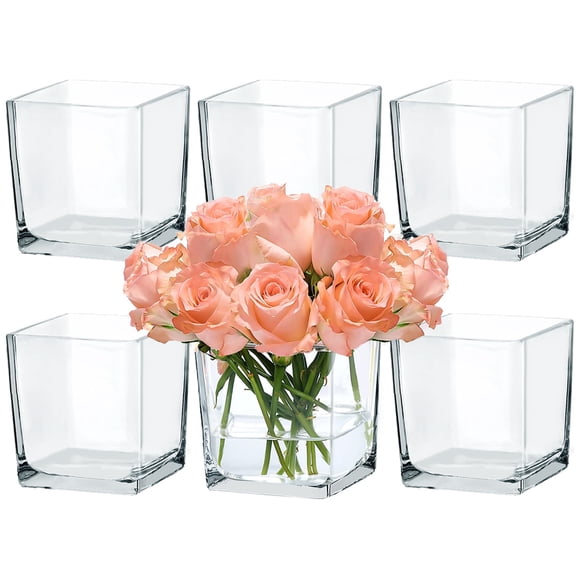 Set de 6 floreros cuadrados de vidrio transparente CONNOO, cubo de 13 cm