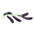 thumbnail image 1 of DOLITY Artificial Food Leaf Leaf Vegetable Sweet Potato Bitter Eggplant Model Kitchen, 1 of 7