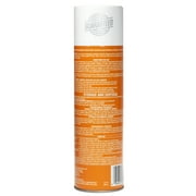 Bengal Foaming Wasp & Hornet Killer