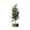 A, variant on QISIWOLE Artificial Mini Pine Tree, Wood Base Tabletop Tree, 11.81 x 3.94 x 3.94 Inch Plastic Fake Tree, For Shelf Mantel Table Decor