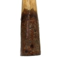 thumbnail image 3 of Eucalyptus Yellowbox Didgeridoo, Bark Bell, Beeswax Mouthpiece - 52" Long - Key of C to E, 3 of 5