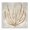 Beige Tide Coral Botanical, variant on Stupell Industries Coastal Natural Round Coral Canvas Art, 17 x 17, by Caroline Kelly
