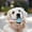 A, variante sur TIELUTT Jouets à Mâcher Durables pour Chiens Mâcheurs Agressifs Jouets Interactifs de Nettoyage des Dents pour Animaux Jouets de Dentition pour Chiots Jouet d'Os Durable pour Chiens Anniversaire Chiot Orteils pour Grands Chiens Y Mâcher Mâcher pour Chiot