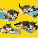 thumbnail image 4 of Juguetes de pez, juguete para patear gatos para gatitos de interior, los ratones de juguete están enriquecidos con hierba gatera pura y potente, rosa/naranja/amarillo, 4 of 5
