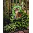 thumbnail image 2 of Carolines Treasures CK3057GF Abyssinian Shamrock Garden Size Flag, 2 of 3