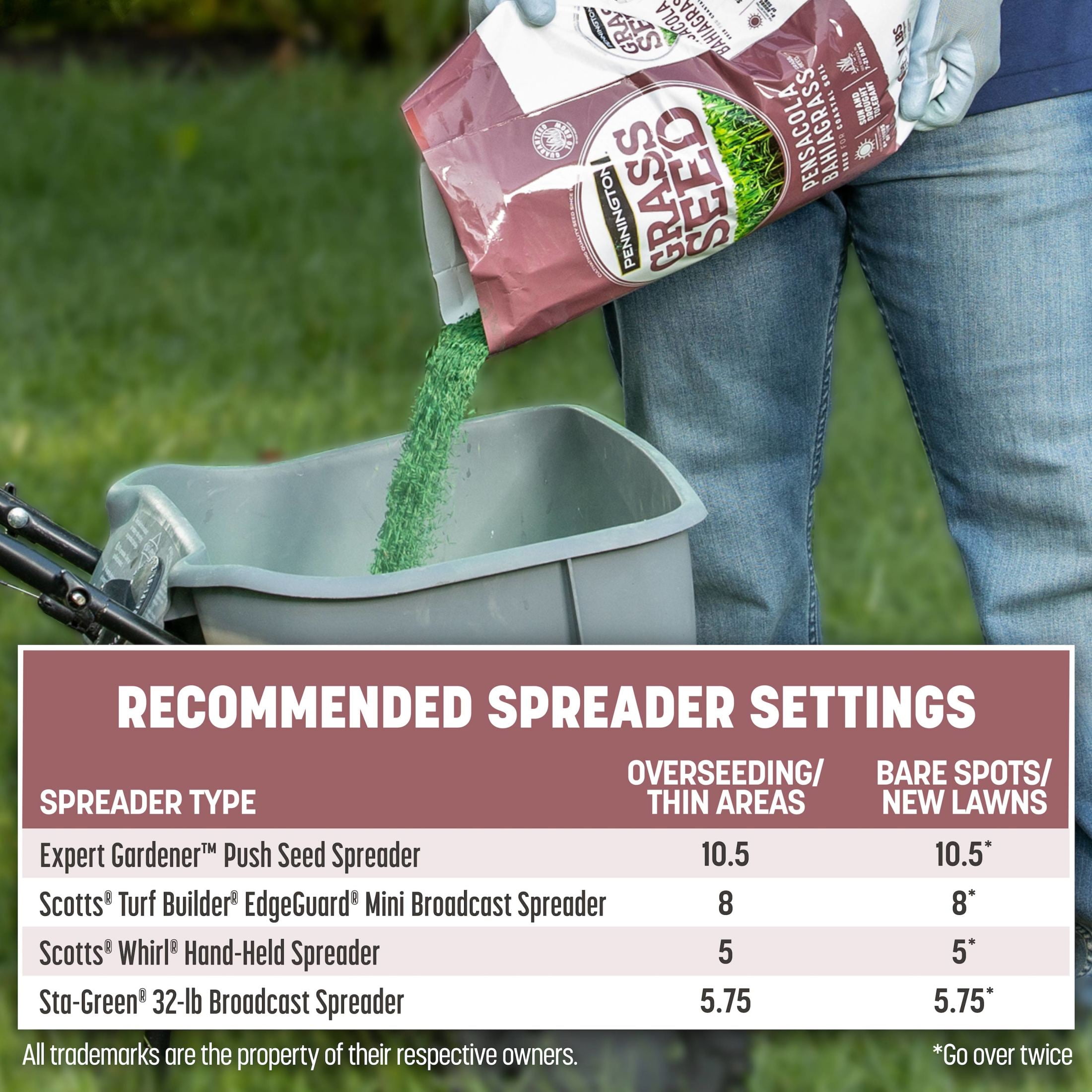 Pennington Pensacola Bahiagrass Grass Seed for Full Sun, Grass Seeds for Lawn, 3 lb