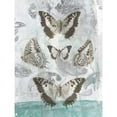 thumbnail image 3 of Goldberger, Jennifer 15x18 Black Modern Framed Museum Art Print Titled - Butterflies and Filigree II, 3 of 5