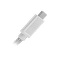 thumbnail image 3 of Silverstone CPU06S-1000 Silver USB 3.1 Gen 2 Type-C to Type-C with E-marker IC and support PD function cable,1 meter, Nylon Braided, 3 of 5