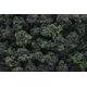 thumbnail image 1 of paisajes arbolados Woodland Scenics FC149, 1 of 1