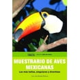 thumbnail image 1 of Muestrario de aves mexicanas Editorial Terracota 9786077616214, 1 of 2