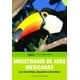 thumbnail image 1 of Muestrario de aves mexicanas Editorial Terracota 9786077616214, 1 of 2
