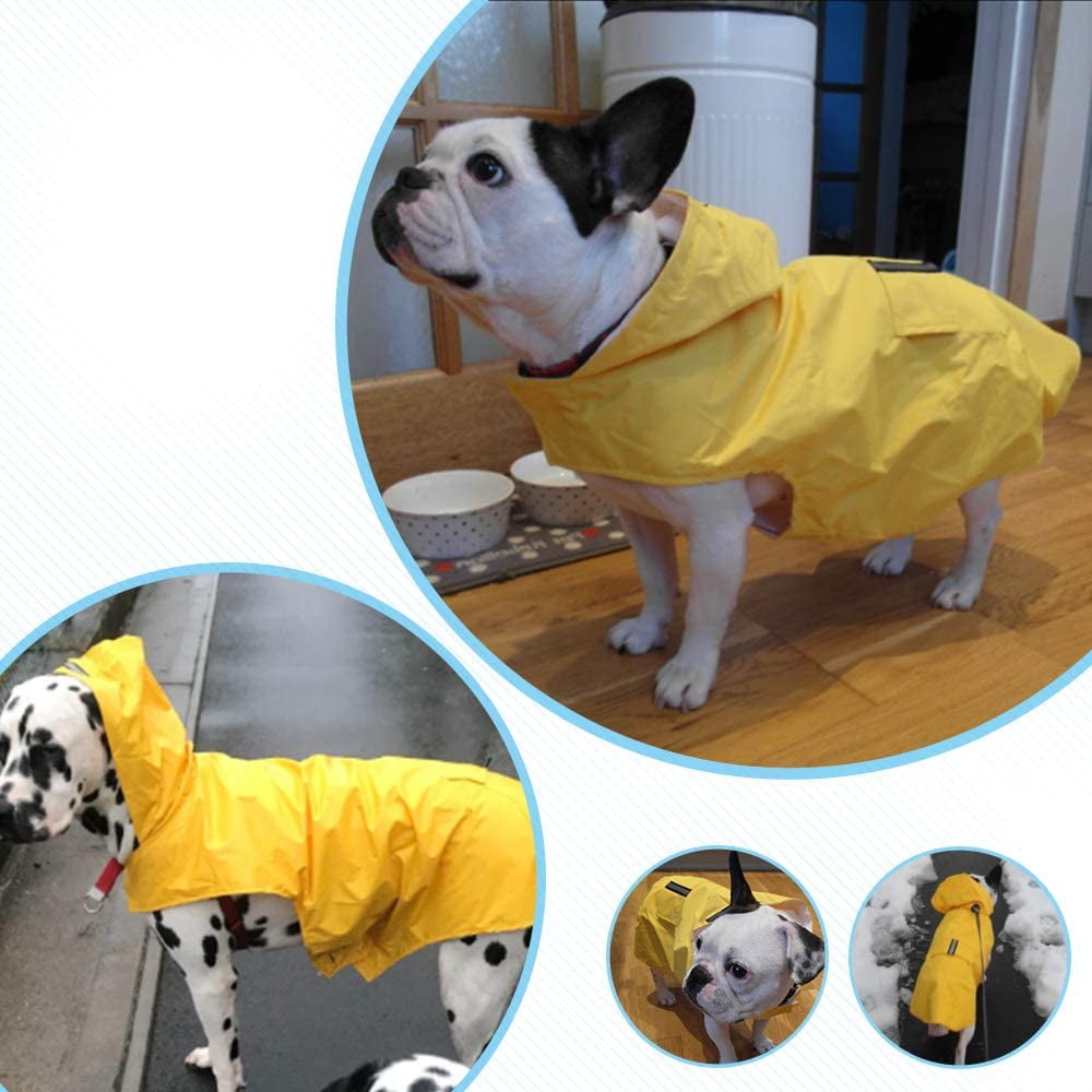 zellar dog raincoat