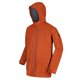 thumbnail image 4 of Regatta - Chaqueta Impermeable Bergen para Hombre (Pan de Jengibre), 4 of 6