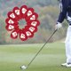 thumbnail image 4 of Cubiertas de cabeza de golf Sharpla 12 piezas 1 juego ajuste suave resistente a la suciedad, 4 of 8