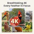 thumbnail image 2 of Birdfy Smart Bird Feeder with Camera, 4K Ultra HD, Free AI Bird Identification, Dual-Band WiFi (2.4G/5G), Color & IR Night Vision, Bluetooth Pairing, Ideal Bird Lover Gift, 2 of 10