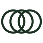 3Pcs Anneau d'adaptateur magnétique, Kit de conversion de chargeur sans fil magnétique, vert