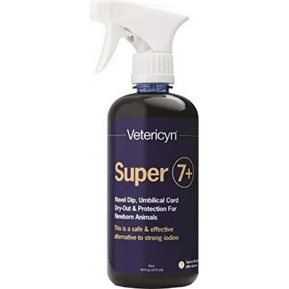 Innovacyn Inc. D-Super 7 Ultra 16oz