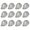 thumbnail image 1 of Ebros Dozen Mini Translucent Clear Skull Gothic Halloween Decor 12pc 1 inch Tall, 1 of 1