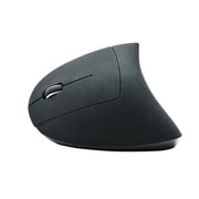 iMicro MO-WVEO01 2.4GHz Wireless Vertical Ergonomic Optical Mouse
