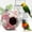 D, variant on LanSuare Cute Bird Nest, Bird Breeding Bed Parrot Snuggle Hut, Bird House for Budgie Cockatiel, Lovebird Canary, Finch Hamster, Small Pets