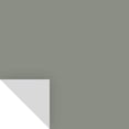 thumbnail image 1 of Adhesivo Peel&Stick de Paint SAMPLIZE con forma de gaviota Carolina, 1 of 2