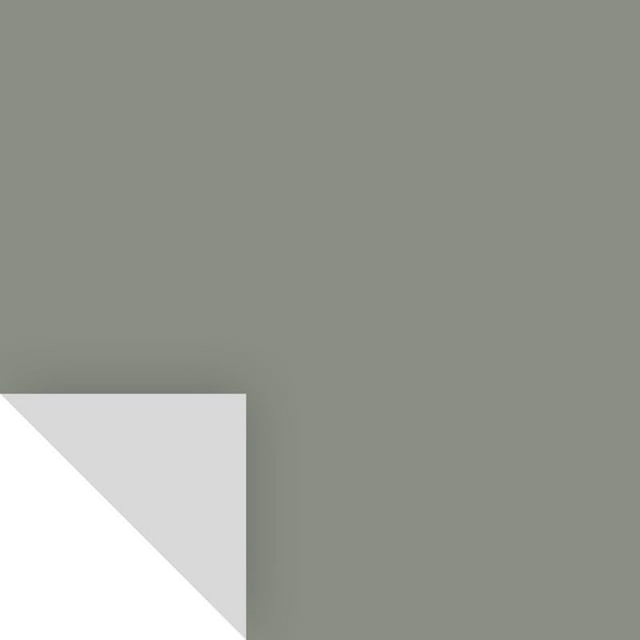 Adhesivo Peel&Stick de Paint SAMPLIZE con forma de gaviota Carolina