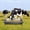 Silver, variant on Ourlova Portable 45inch Long Galvanized Steel Livestock Feeding Trough Heavy Duty Livestock Feeder 22 Gallon Capacity Galvanized Steel Sheep Trough for Horse Cattle Cow Alpaca