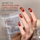 thumbnail image 4 of Set de esmaltes de uñas en gel GAOY Jelly Brown, 6 colores, 6,5 ml, para salón, bricolaje, 4 of 6