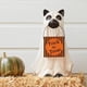 thumbnail image 4 of Cachorro Calabaza Ygjytge Candy Bowl Halloween Anti Decoloración Festival Fiesta Regalos, 4 of 6