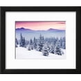 thumbnail image 2 of Fantastic Evening Winter Landscape, Botanical Scenic Seasons Framed Art Print Wall Art by Leonid Tit Sold by Art.Com, 2 of 6