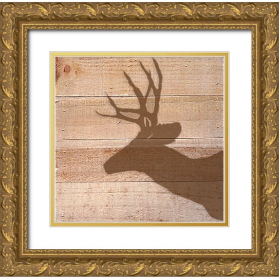 Seay, Anne 26x26 Gold Ornate Wood Framed with Double Matting Museum Art Print Titled - Deer