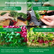 Organo Republic - Broccoli Sprouting & Microgreens Seeds 1LB - 130000+ Non GMO Heirloom Seeds