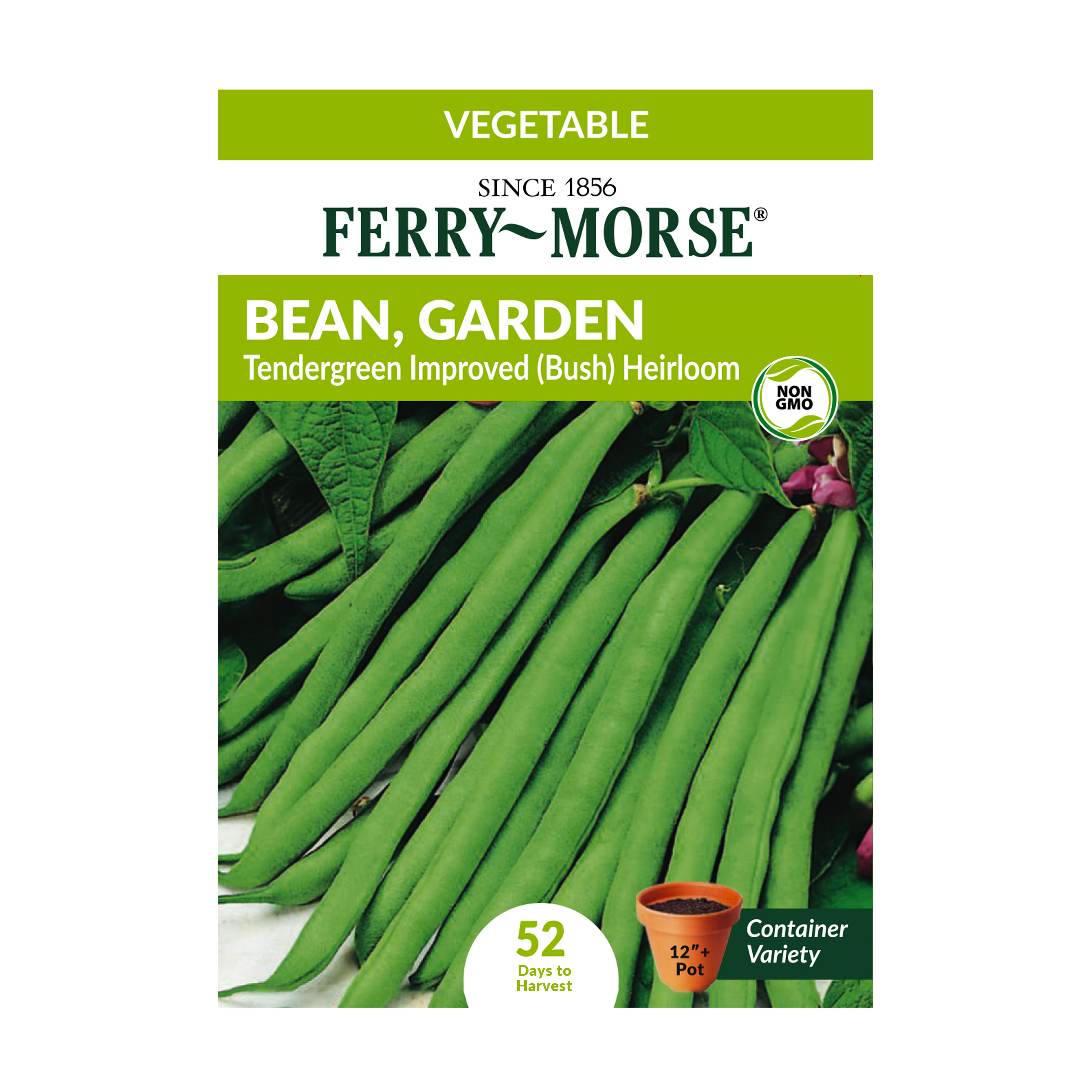FerryMorse 10G Bean, Garden Tendergreen Improved (Bush) Heirloom Vegetable Plant Seeds Packet