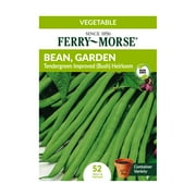 Ferry-Morse 10G Bean, Garden Tendergreen Improved (Bush) Heirloom Vegetable Plant Seeds Packet