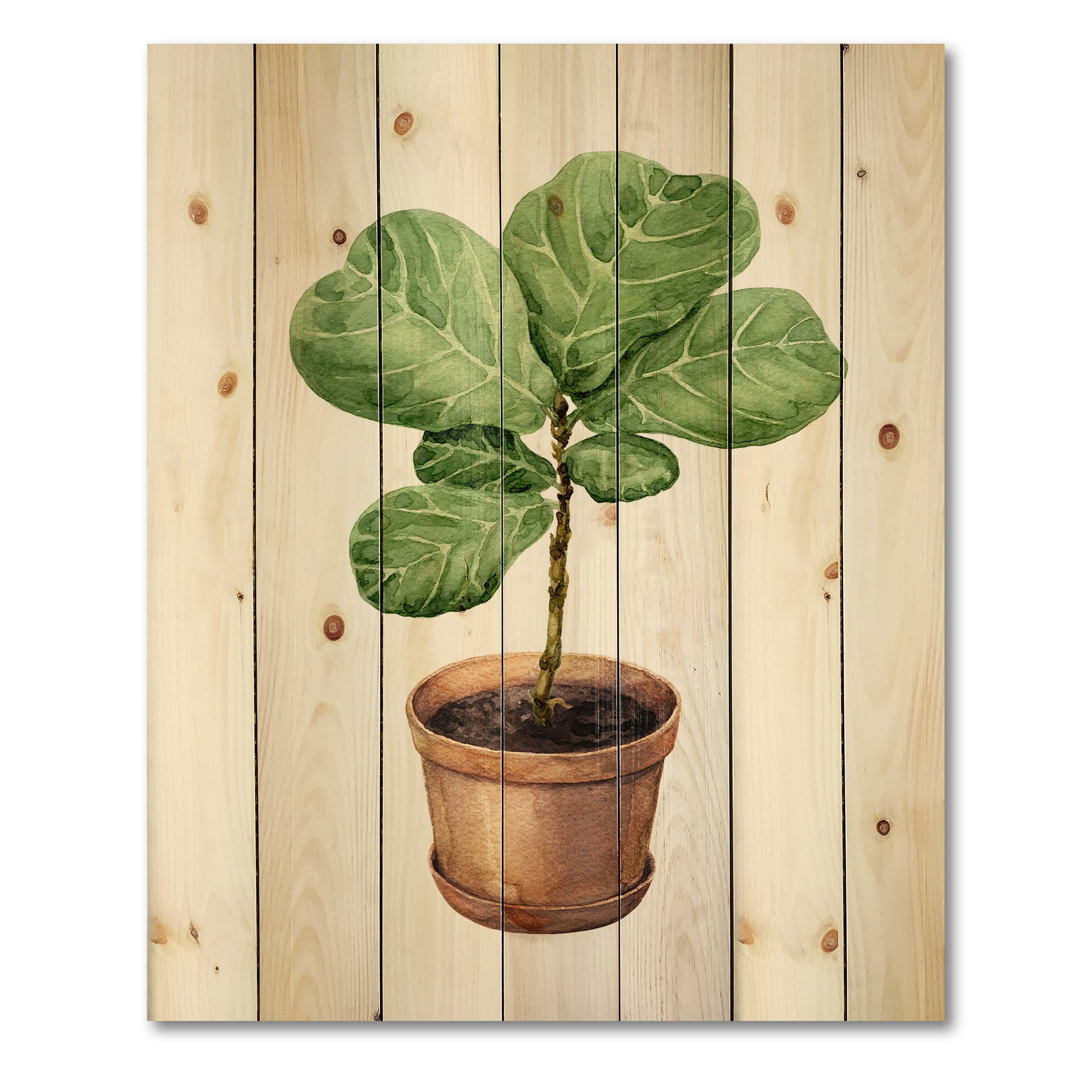 Designart 'Ficus Lyre Plant In Clay Flowerpot' Traditional Print on Natural Pine Wood