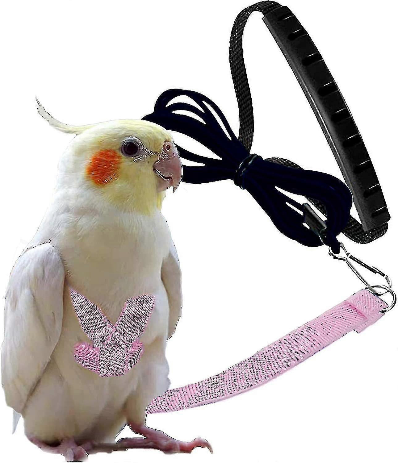 Cockatiel Bird Harness And Leash Adjustable Bird Harness With 80 Inch Leash, Outdoor Flying Kit Training  Rope For Birds Parrots Cockatiel