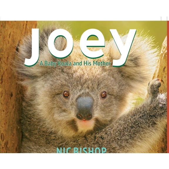 Joey: A Baby Koala and His Mother, (Hardcover)