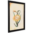 thumbnail image 4 of Northlight Desert Cereus Floral Photo Framed Wall Art - 26” x 18" - Black and Beige, 4 of 9