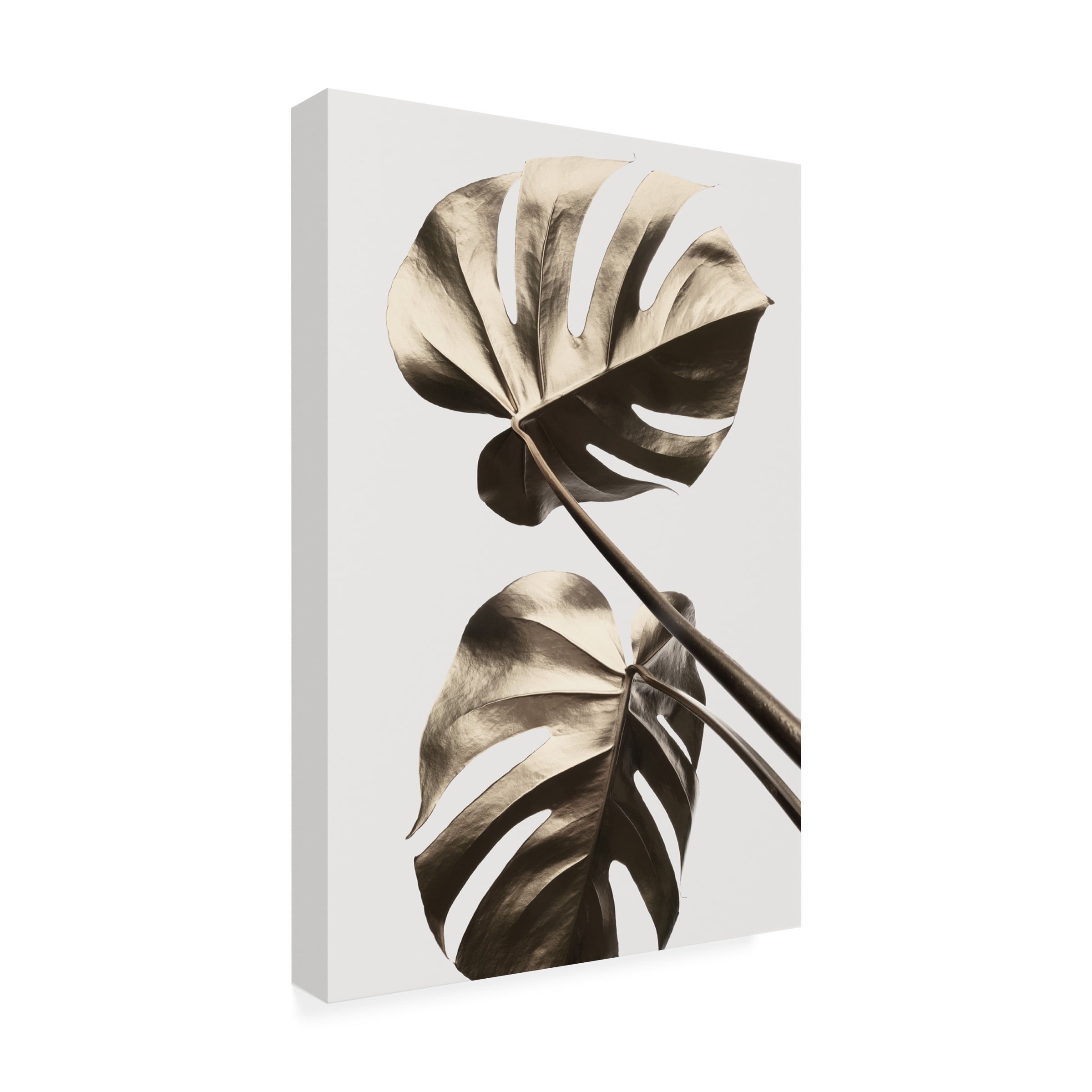 1x Studio III 'Monstera Gold 08' Canvas Art