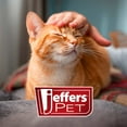 thumbnail image 6 of Jeffers Conditioning Pet Shampoo | Vanilla Walnut | 17oz, 6 of 6