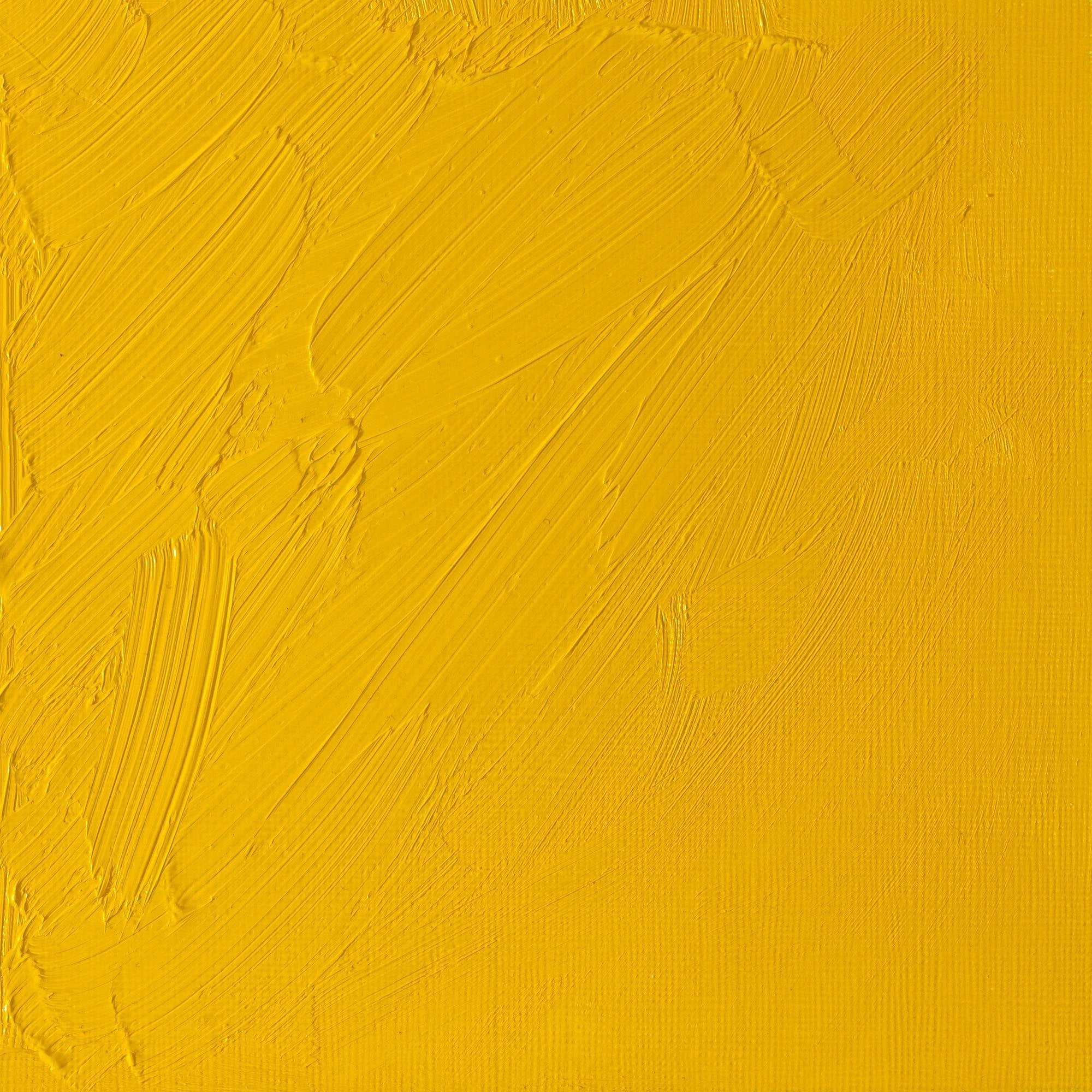 Winsor & Newton Artists' Oil Color, 37ml, Cadmium Yellow Pale