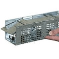 Havahart XSmall 2Door Small Animal Trap