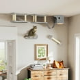 thumbnail image 2 of PawHut 4 Piece Cat Wall Shelves with Scratching Post, Ladder, Condo, 2 of 10