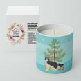 thumbnail image 2 of Carolines Treasures CK4642CDL 3.75 x 3.25 in. Unisex La Perm No.1 Cat Merry Christmas 10 oz Decorative Soy Candle, 2 of 5