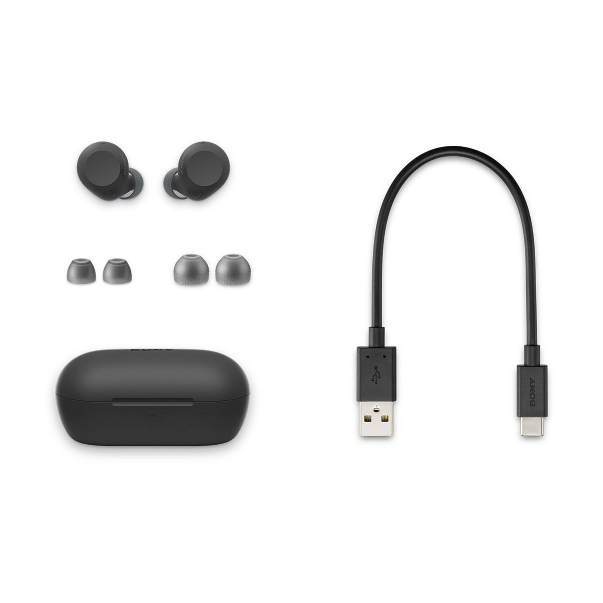 Sony WF-C710N Truly Wireless Noise Canceling Earbuds - Black