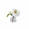 Open Rose In Bottle Vase - Cream