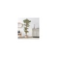thumbnail image 4 of HomeStock 6Ft. Variegated Artisanal Attic Tree, 4 of 4